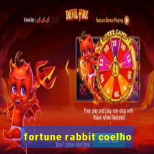 fortune rabbit coelho